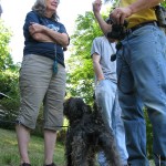 A Griff's Eye View